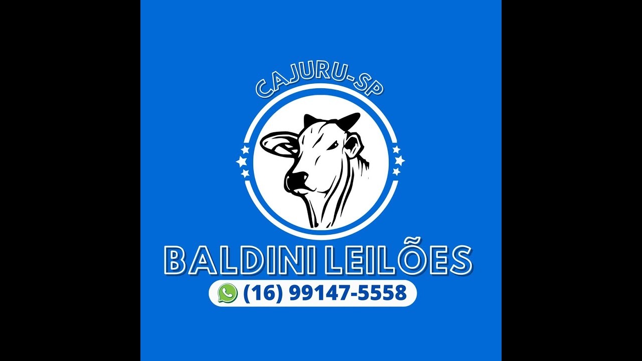 BALDINI LEILOES