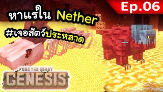 สัตว์ประหลาดใน Nether ทำหลอน~! ตอนที่ 6 | โลกนี้มีแต่รังสี FTB Genesis