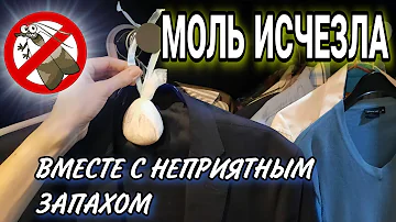 Как избавиться от моли в шкафу? Как убрать неприятный запах в квартире? Суперсредство