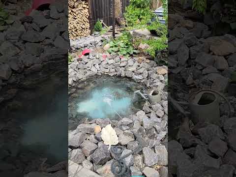 Сделали новый водоём. ч. 2
