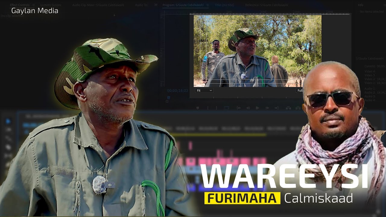 Argagixisada xero ayay nagu jiraan 2 mid baa u furan Is dhiibid ama in aan Shiiska u qabano