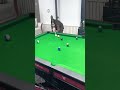 Snooker Game - 1626 - Billiards -  #snooker #billiards #pool #viral #ballpool #shorts #tiktok #game
