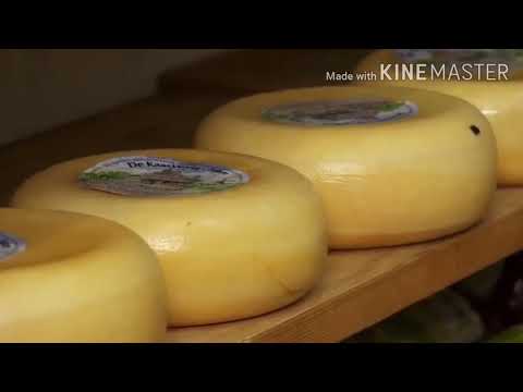 فيديو: 10 من ألذ أنواع الجبن في العالم يمكنك تجربتها