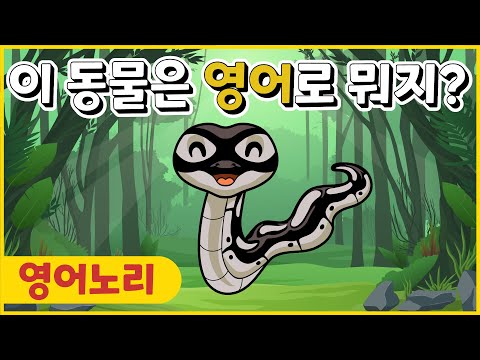 <strong>몸이</strong> 길고 다리 없이 기어다니는 이 동물은 영어로 뭐지? 노래와 춤으로 <strong>영어</strong> 단어를 배워보자! | 영어동요 | 영어체조 | 영어노리