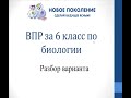 Биология. Разбор варианта ВПР по биологии 6 класс