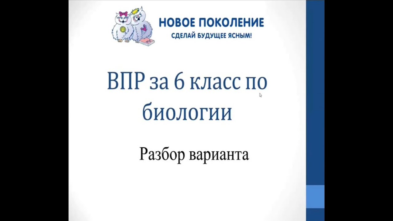 Биология. Разбор варианта ВПР по биологии 6 класс - YouTube