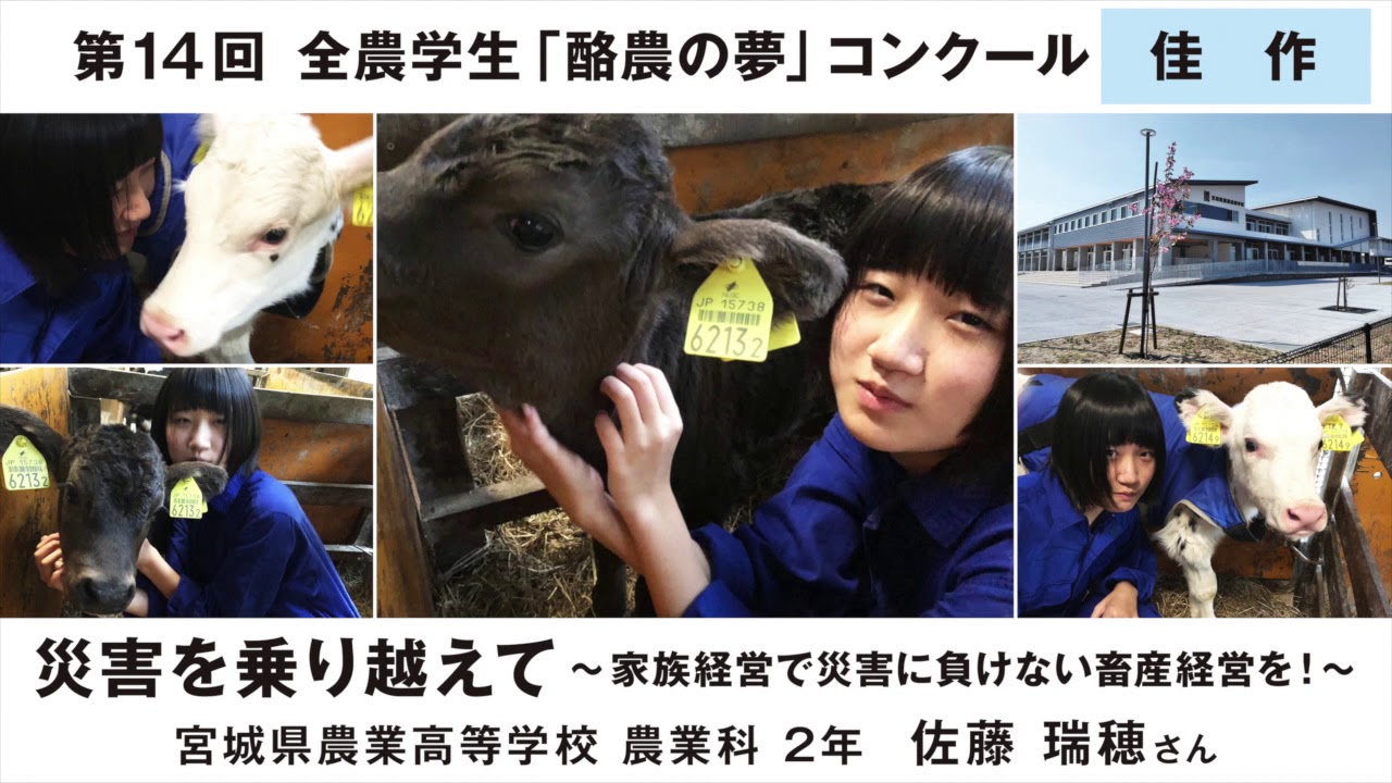 第14回全農学生 酪農の夢 コンクール 佳作 宮城県農業高等学校 農業科 2年 佐藤 瑞穂さん Youtube