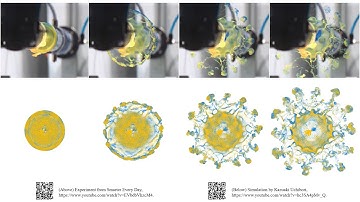 Head-on Collision of Vortex Rings (Simple Validation)