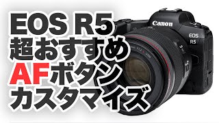 【Canon】キヤノンEOS R5、R6超絶おすすめAFボタンカスタマイズを紹介！「人か、人以外か。」