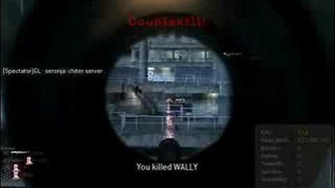 Call Of Duty 4 1.7 Multihack by N7