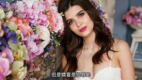 （卖淫）欧洲性服务合法性，八个国家是的合法的，西班牙保持宽容的态度，既不违法也不支持。德国、瑞典、奥地利等为合法的 - 天天要闻