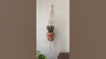 Tutorial completo disponible en nuestro canal 😍