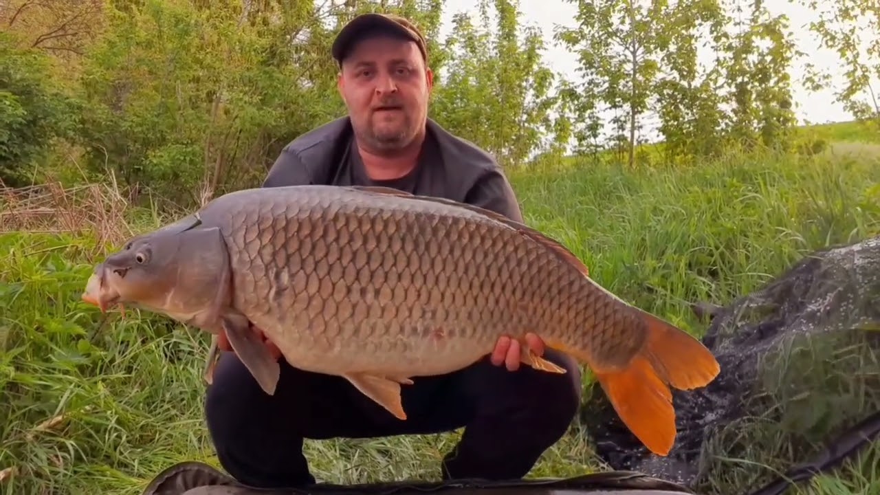 Prušanecký potok 1...a Dyje 4..( Pro Čikiho) 2022