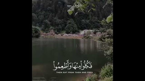 (الذين إذا ذكر الله وجلت قلوبهم والصابرين على ما أصابهم) ماهر المعيقلي_سورةالحج(حالات واتساب)