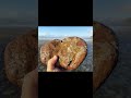 Large beach agate on host rock with a beautiful view. Gotta love the Oregon coast