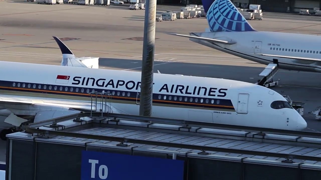 【羽田空港】シンガポール航空 9V-SHU 到着シーン｜A350がスポットイン