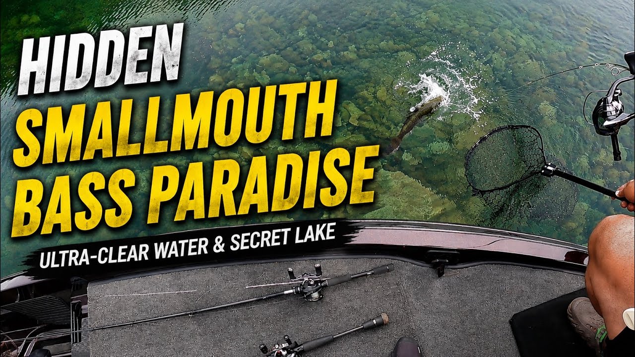 Hidden Smallmouth Bass Paradise in Japan | Ultra-Clear Water & Secret Lake
