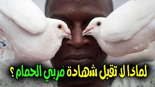 مربي الحمام لا تقبل شهادته