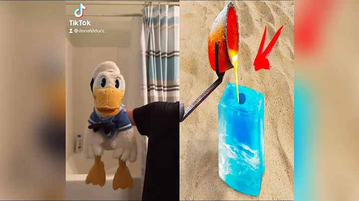 Donald Duck FUNNY TikToks (DO NOT LAUGH CHALLENGE)