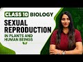 Sexual Reproduction in Plants and Human Beings | Class 10 Biology | CBSE Board 2027