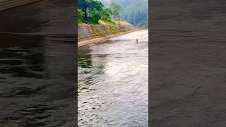 Pamba River/ Sabarimala Ayyappa #Bhakti #Ayyappa #Divine #Sabarimala #Travel #Thelastcholas #Shorts