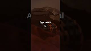 age reveal