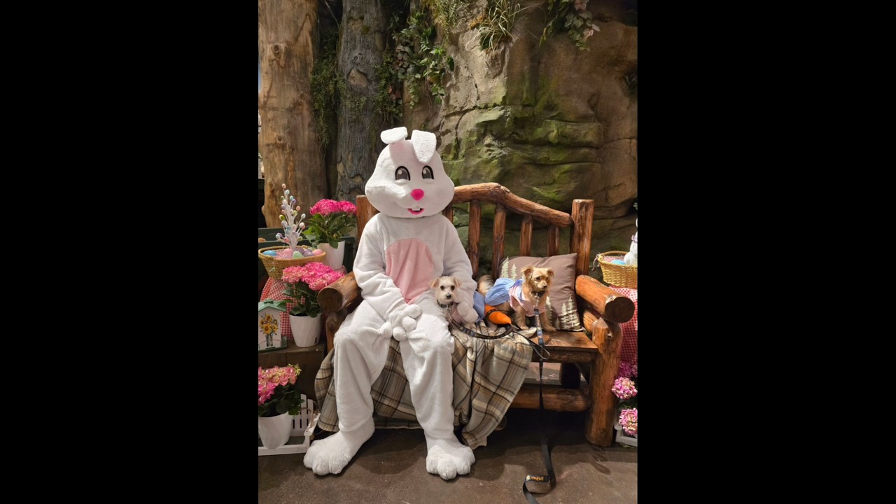 Butter & Frida's first ever Easter picture! Thank you Bass Pro Shop