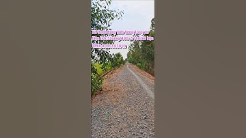 55công đất lúa 3vụ Tại xã thạnh Hưng kiến tường Long An  #bdslongan