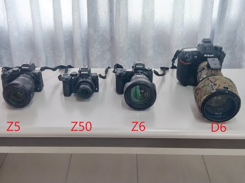 D6，Z6，Z50，Z5高速快門聲的比較。
