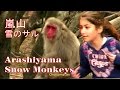 Japan Travel - Trip to Arashiyama Snow Monkeys 嵐山 雪のサル