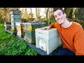 Preparing for my 3rd year of beekeeping  building hives cleaning equipment and getting more bees