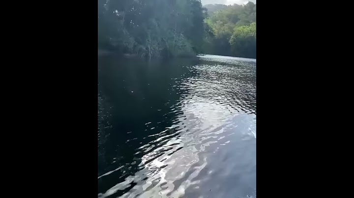 ¡Increíble! Cocodrilo “Gigante” | en el Cañón del Sumidero, Chiapas 🐊🐊🐊