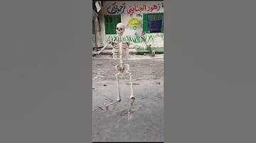 هيكل عظمي يرقص علي الاغاني 