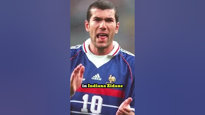 Zidane's Volley  A Masterpiece Goal in the 2002 World Cup Final