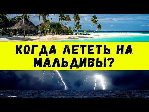 Когда лететь на Мальдивы? Погода в декабре на Маафуши