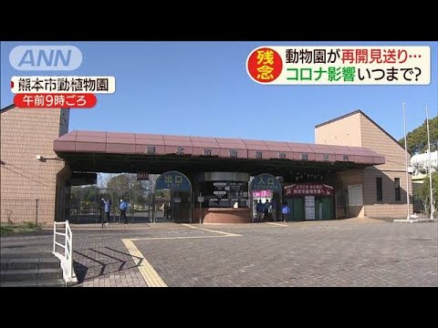 熊本市動植物園 再開見送り きょうからのはずが 03 Youtube