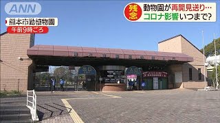 熊本市動植物園、再開見送り　きょうからのはずが・・・(20/03/20)