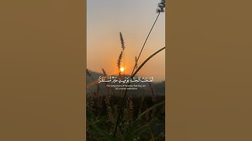 وقدمنا إلى ما عملوا من عمل فجعلناه هباء منثورا | القارى عبدالرحمن مسعد -سورة الفرقان #quran #لايك