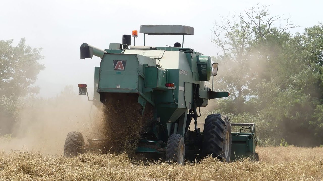 TEAM STIVALE | TREBBIATURA CECE 2018 | ARBOS 565 A4L IDROSTATICA