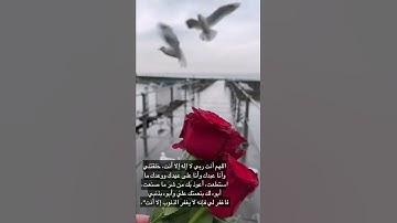 من سورة الأعلى تلاوة خاشعة / حالة واتساب ؛ قرآن كريم بصوت : ماهر المعيقلي / راحة نفسيـــة ✓