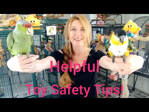 Toy Safety For