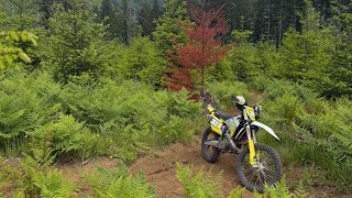 Tillamook State Forest: Riding Blue and Black Diamond trails at Diamond Mill OHV
