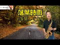 落葉時雨(落葉しぐれ)-凡人薩克斯風(朝陽演奏)