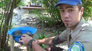 How to Certify Your Campus as Wildlife Habitat