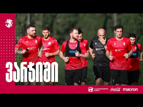 საქართველოს ნაკრებმა საწვრთნელი შეკრება დაიწყო