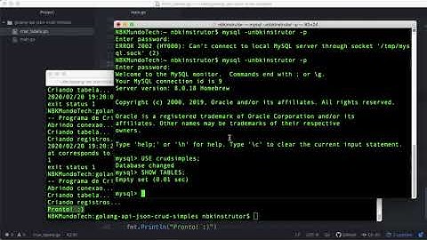 0016-30 Como Criar Registros de MySQL no Golang
