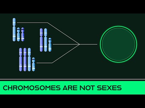 वीडियो: महिला कौन सा गुणसूत्र है?