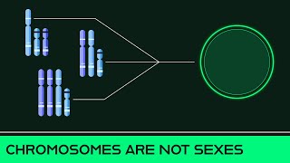 Chromosomes Are Not Sexes