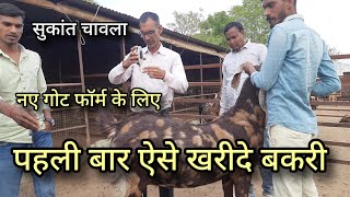 गोट खरीदने का एक्सपर्ट तरीका | market se bakri kharidne ka best trika | sukant chawla pkraj vlogs