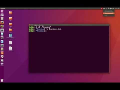 TerminalLab: Permanently delete files from the terminal